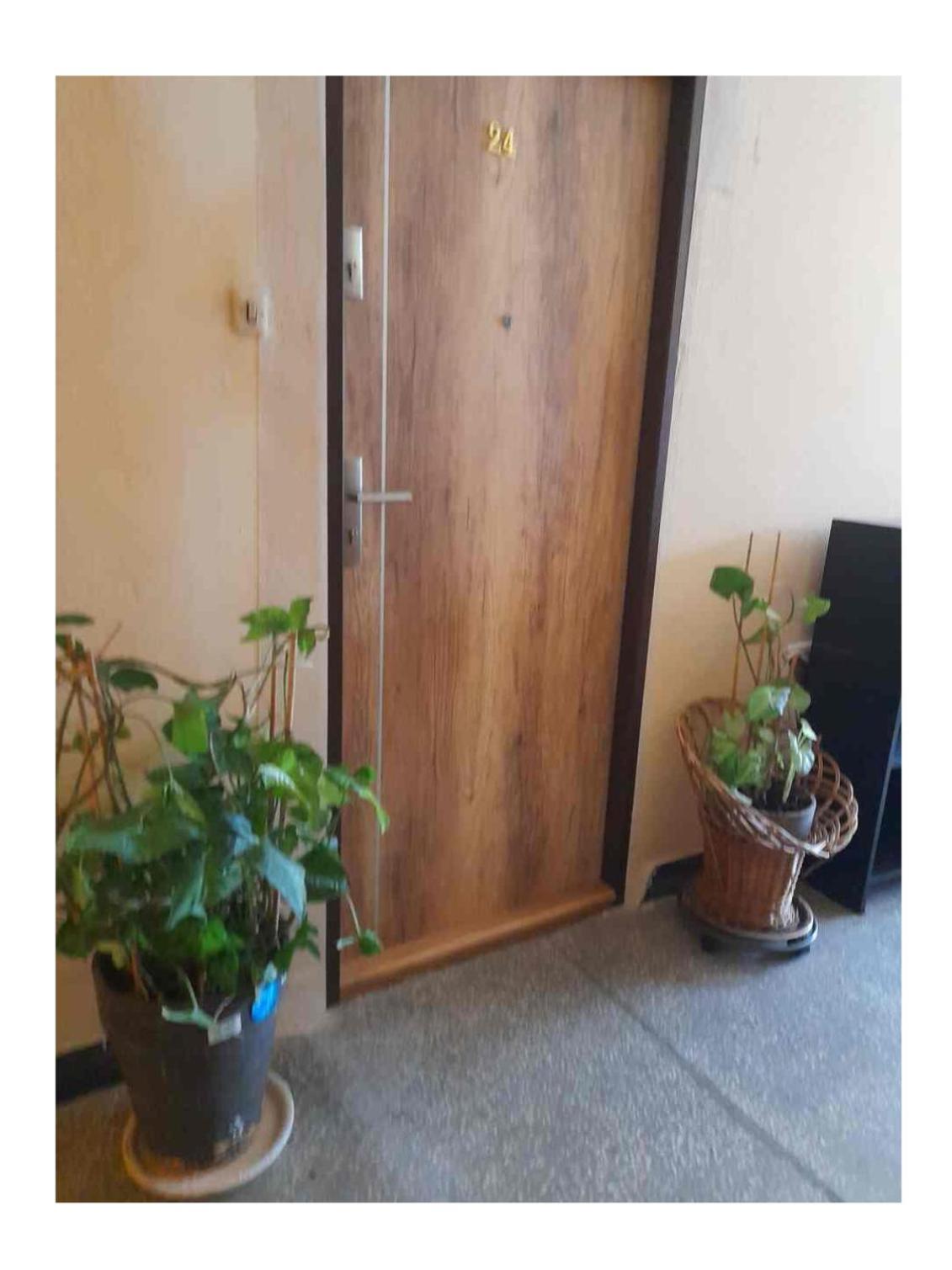 Butas с любовью